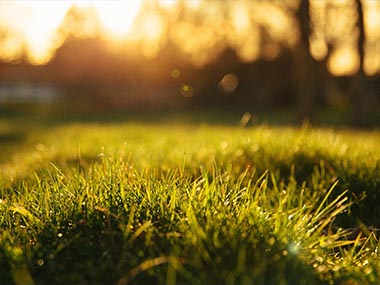 实验室常用试剂种类