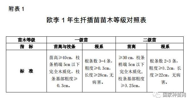 欧李原料林可持续培育指南