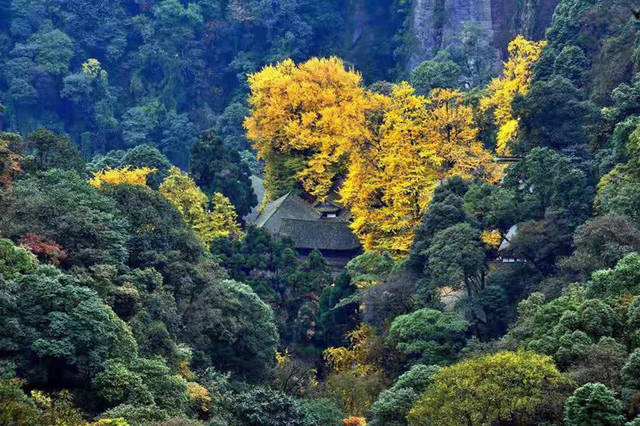 都江堰行记
