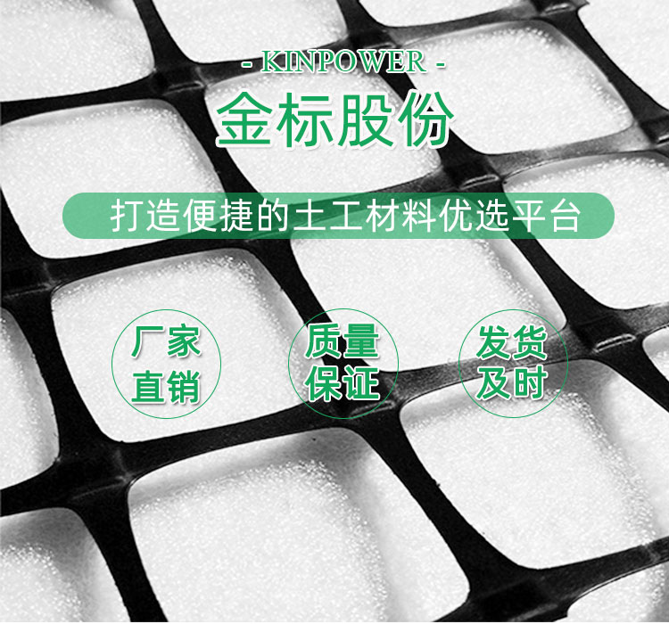 雙向土工格柵