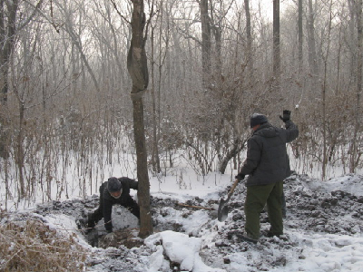 2011年林业大学绿化工程