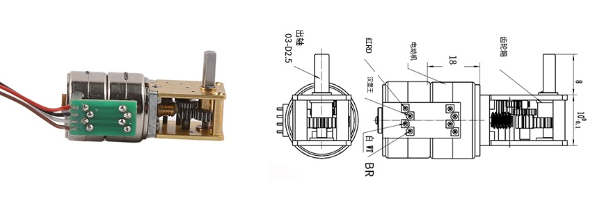 15mm蝸輪步進(jìn)電機，帶蝸桿齒輪箱，齒輪比可選