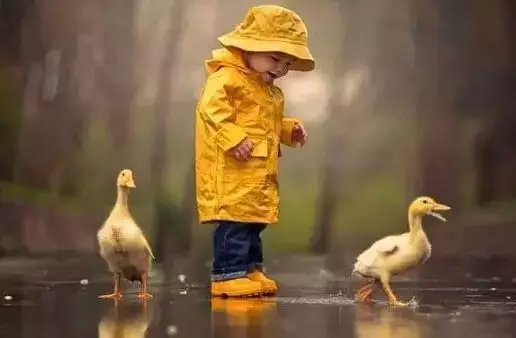 呵护孩子的灵性是孩子健康成长的关键！