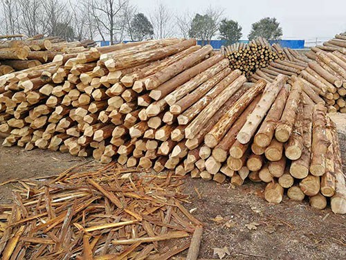 2017年以來俄羅斯向中國出口木材總額增加20%