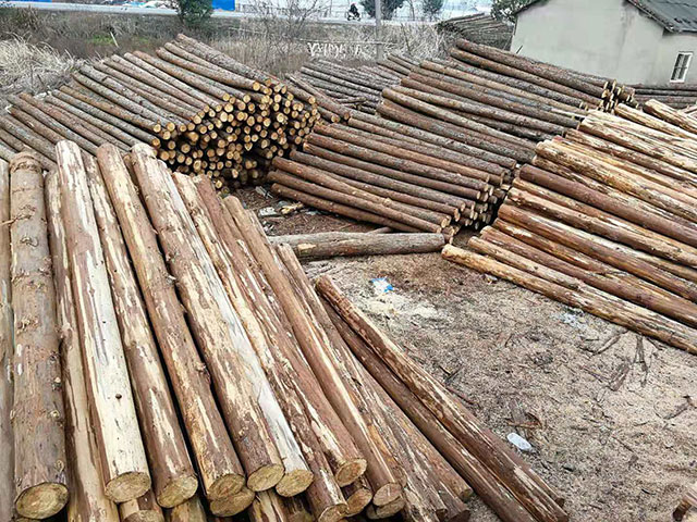 20公分木桩生产厂家[生态采伐]