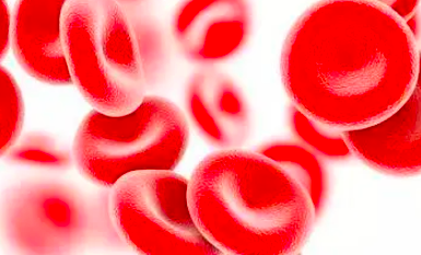 造血干细胞会老化吗？能管多久？