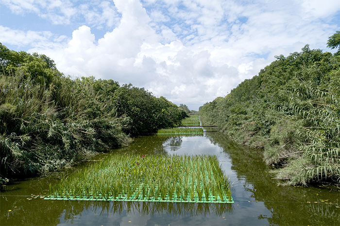 CQ9电子生态养殖模式创标杆