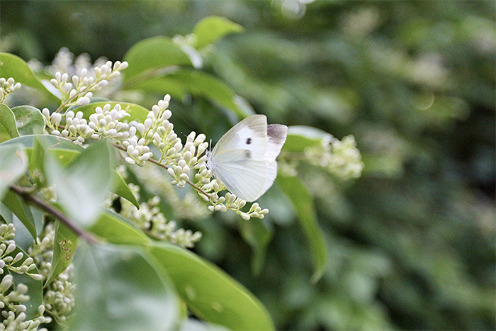 春之怀古