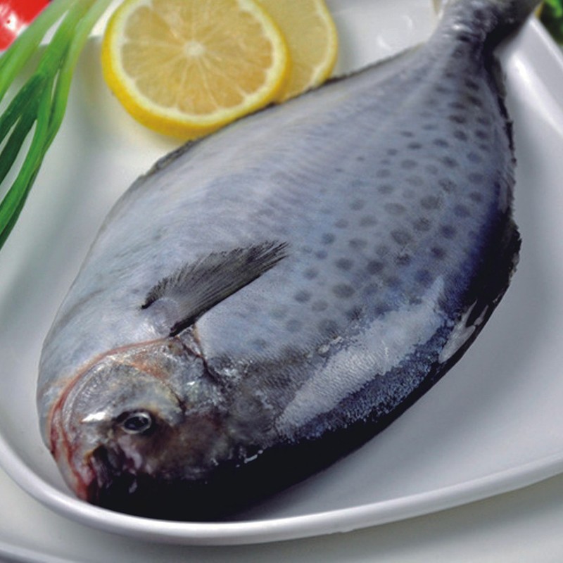 Frozen argentina  butterfish