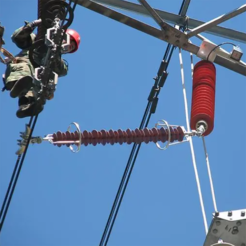 Online monitoring system for transmission line surge arresters, adding to power supply safety