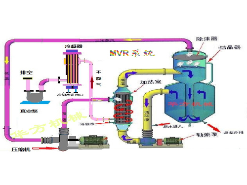 MVR蒸发器