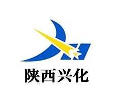 陕西兴化集团公司