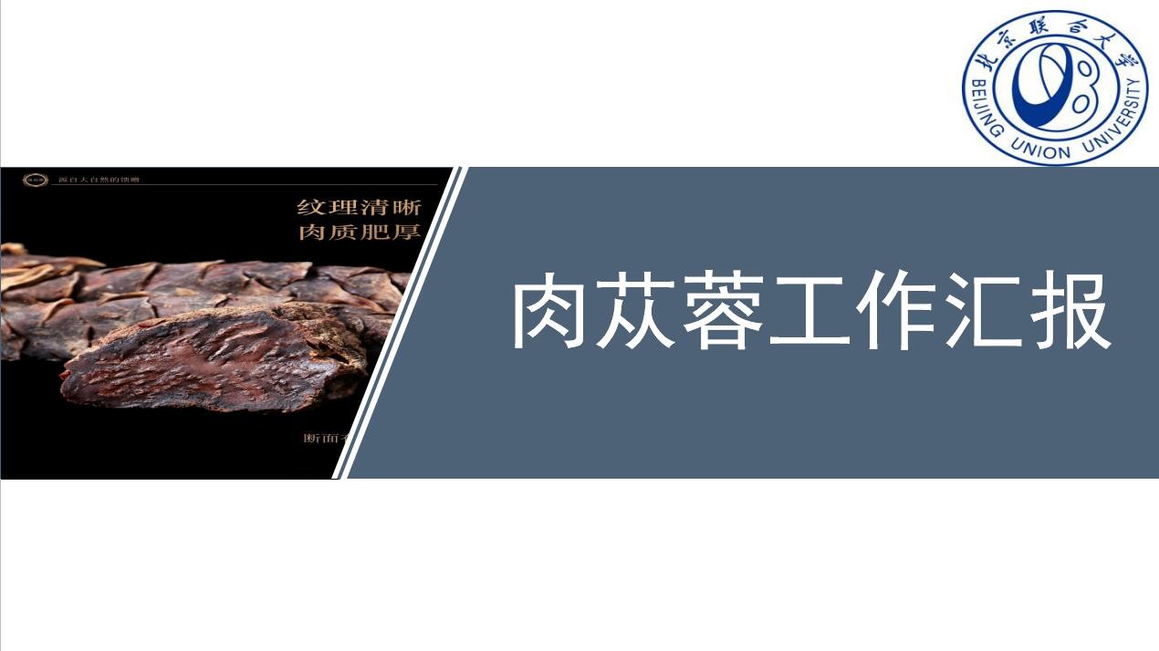我們公司邀請北京聯合大學給我們做了關于肉蓯蓉的幾項實驗