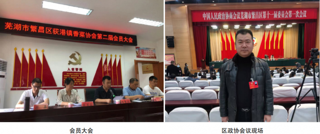 繁昌縣荻港老許香菜有限責任公司總經理楊黎利訪談
