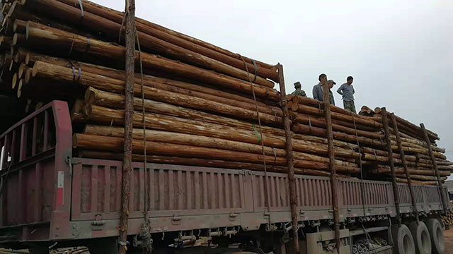 生態木樁加工廠