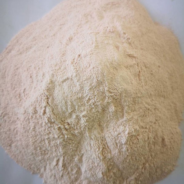 土木工程用膨潤土是干什么用的