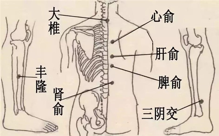 克拉玛依中医疗法培训中心哪里报名