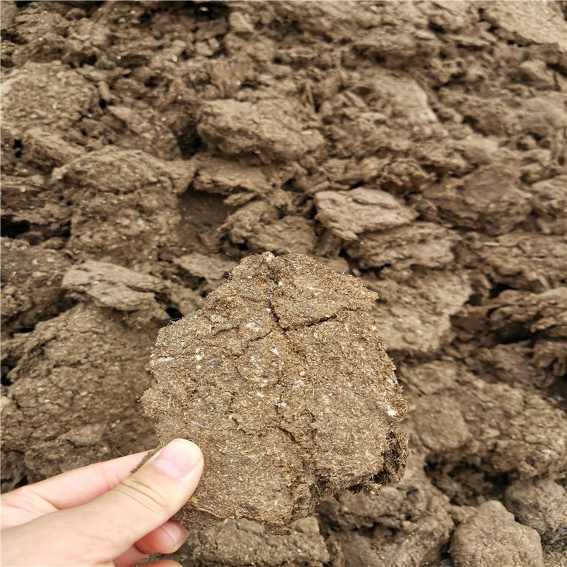 吐鲁番干羊粪批发