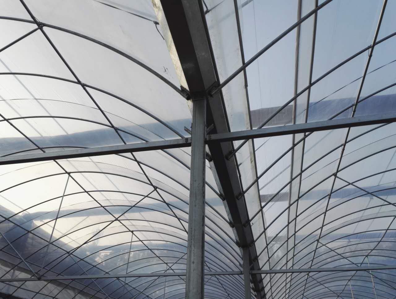 上海育苗薄膜温室销售价格_新闻中心_青州市广源温室工