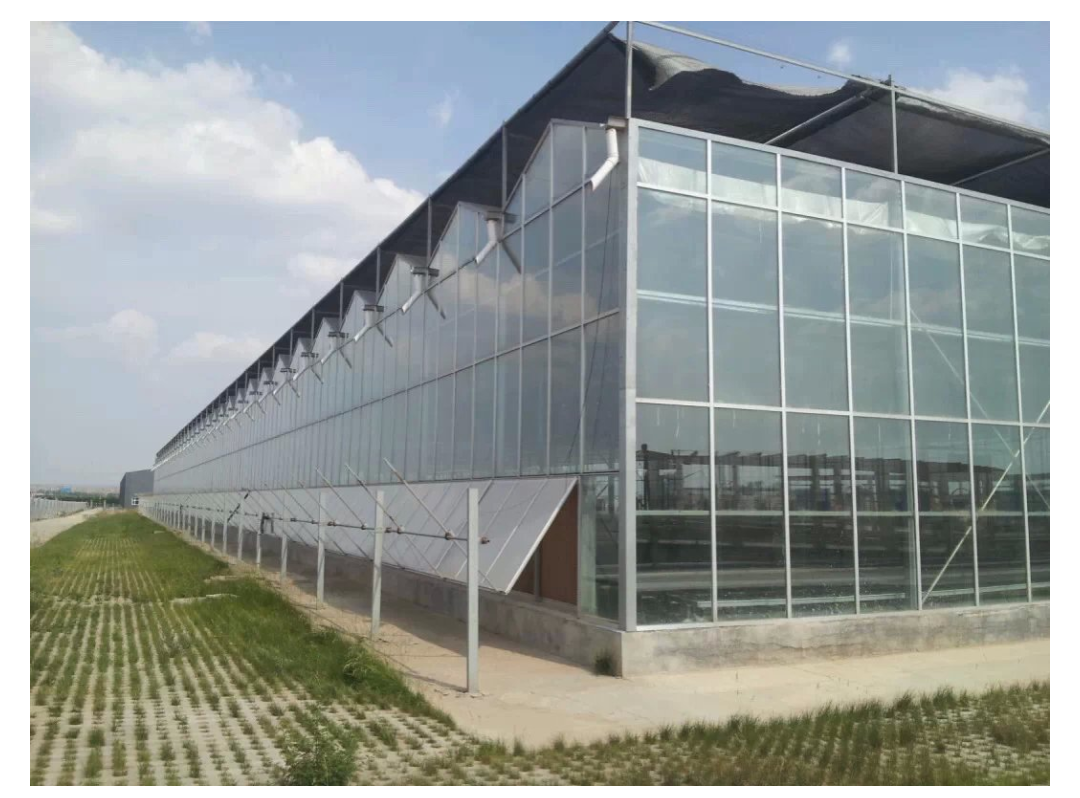 东莞玻璃大棚厂_新闻中心_青州市广源温室工程有限公司-n127网