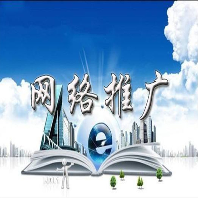 莆田专业的网络推广
