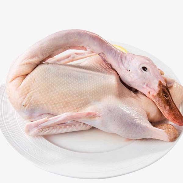 曲靖清真冰鲜鸭加工厂家