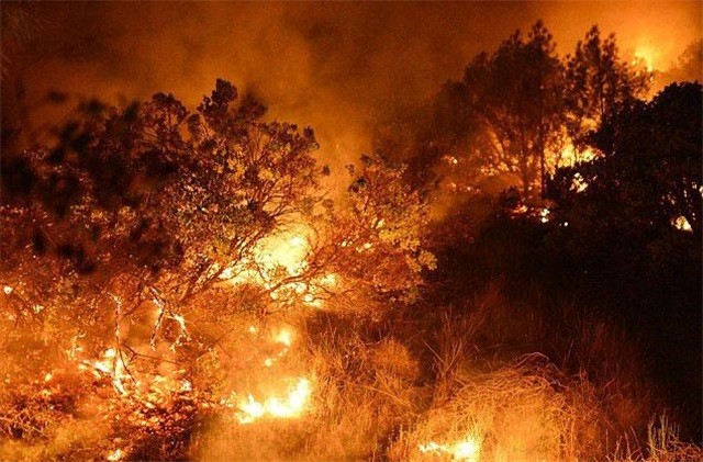 克拉玛依天然林火灾损失评估公司-河北农业司法鉴定中心_河南网