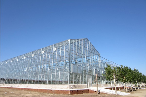 长治专业定制玻璃大棚生产_新闻中心_青州市广源温室工程有限公司-n12